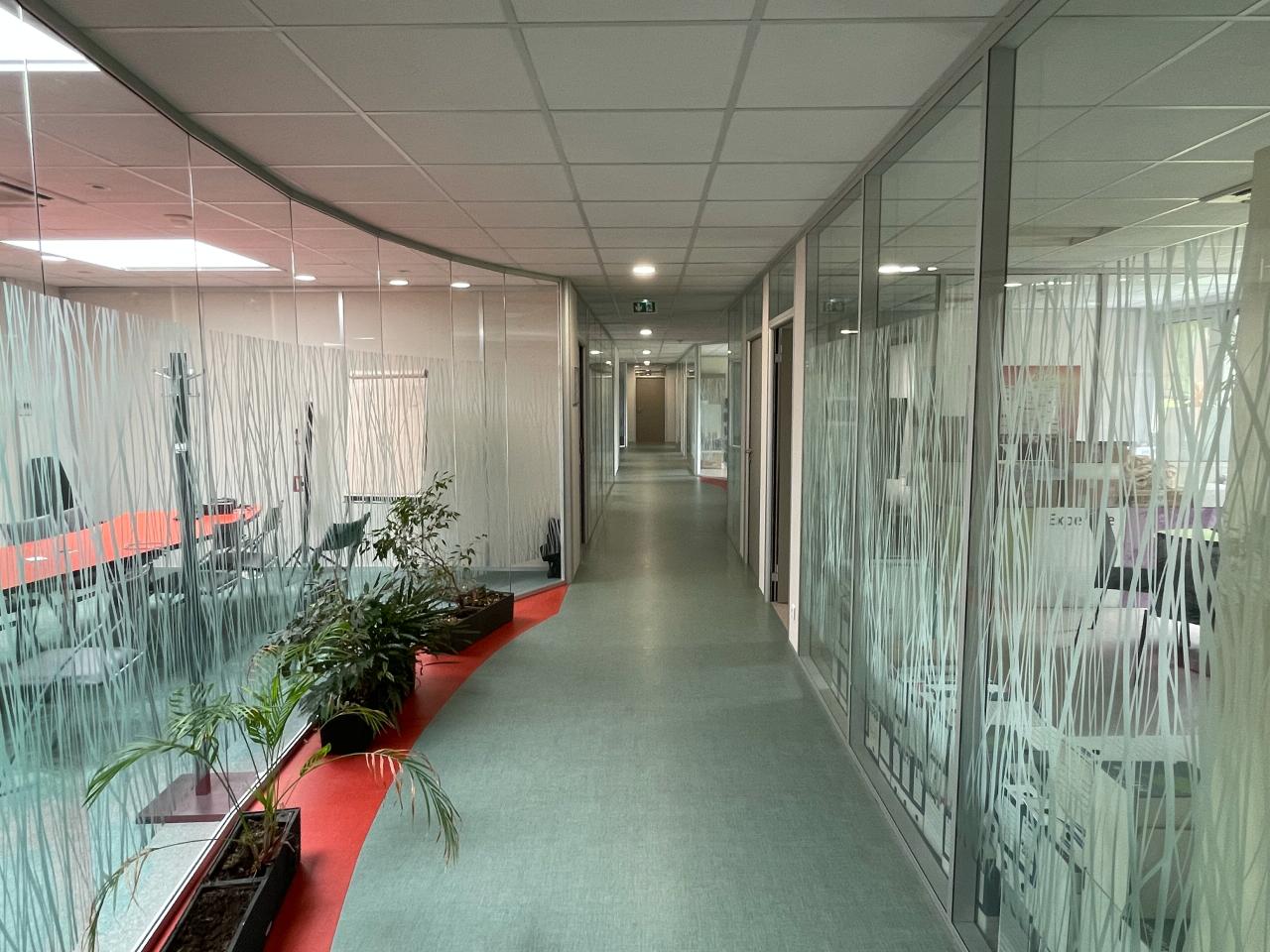 Vente local d'activité Ris-Orangis Essonne OVACT2427668 4