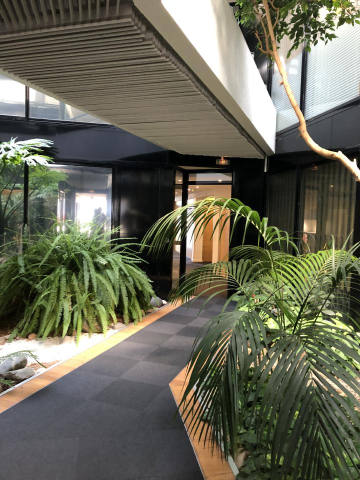 Location bureau Toulouse Haute-Garonne OLBUR2533551 4