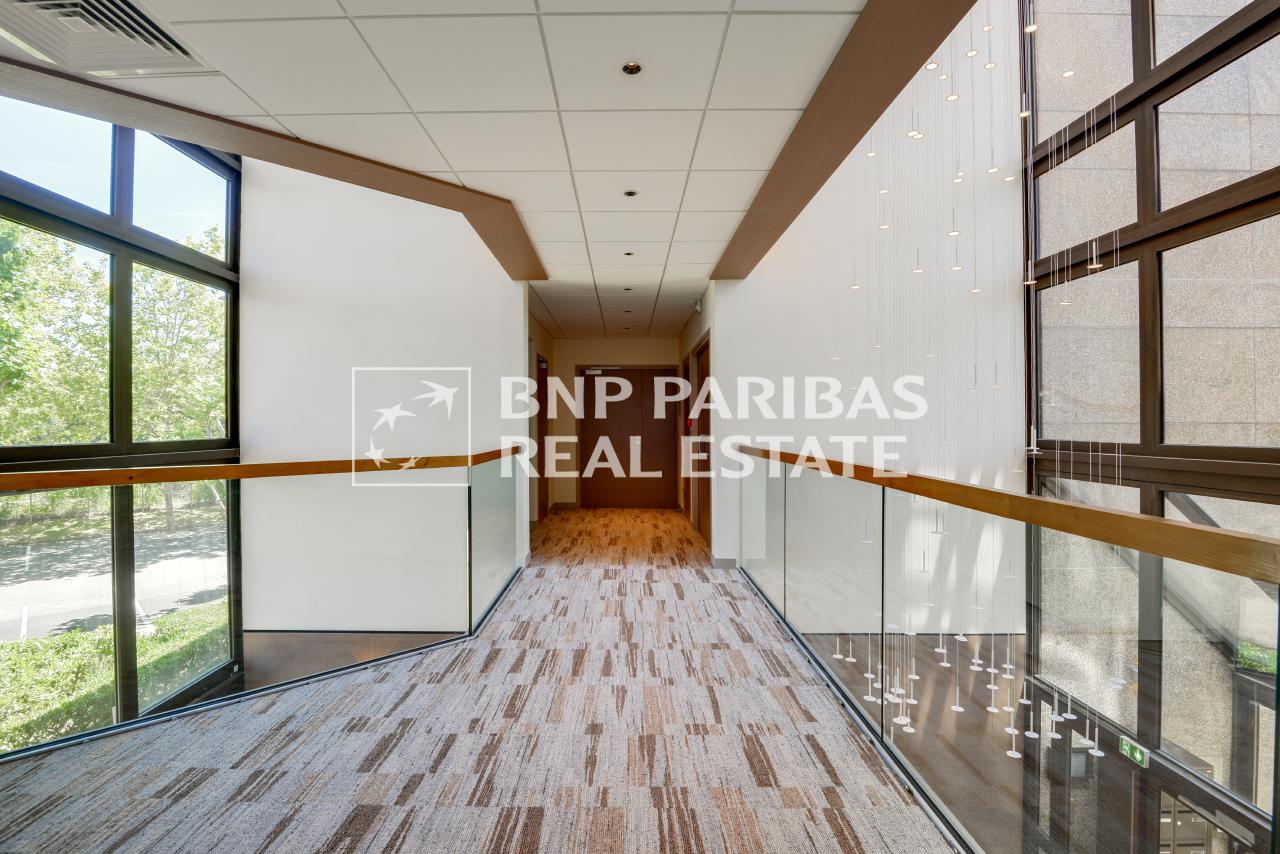 Location bureau Montigny-le-Bretonneux Yvelines OLBUR2103896 4