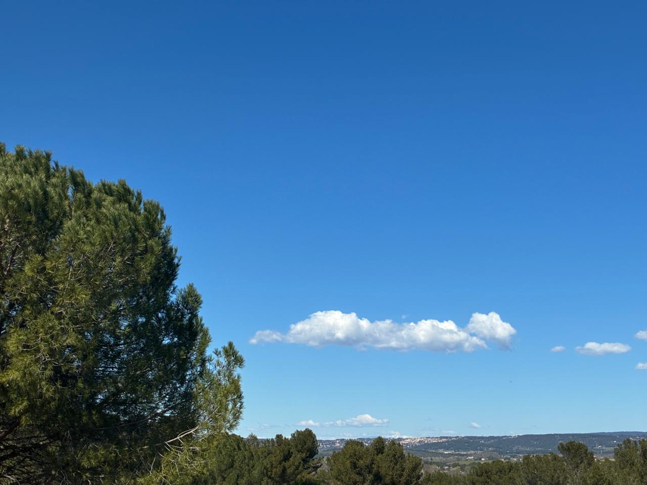 Location bureau Aix-en-Provence Bouches-du-Rhône OLBUR2309187 1