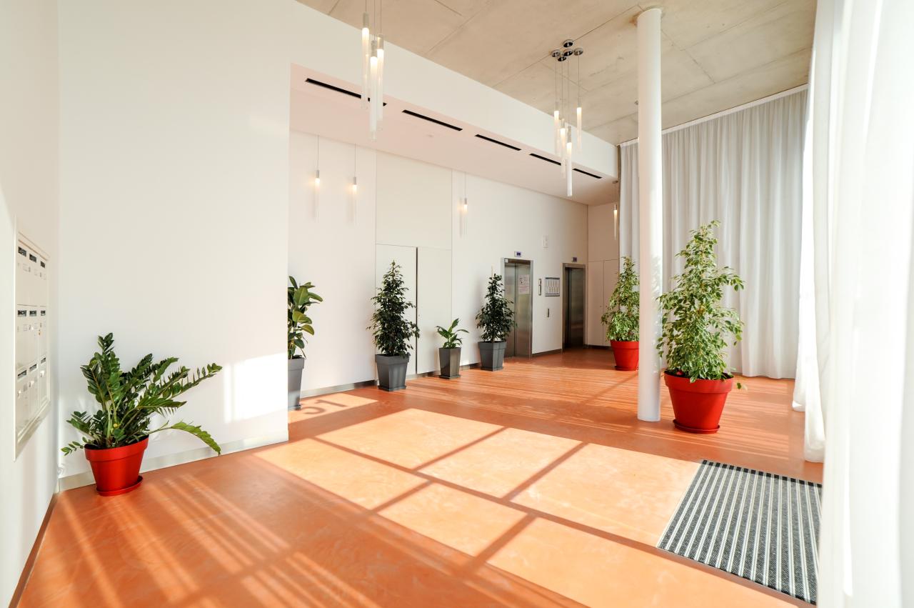 Location bureau Nice Alpes-Maritimes OLBUR2424565 3