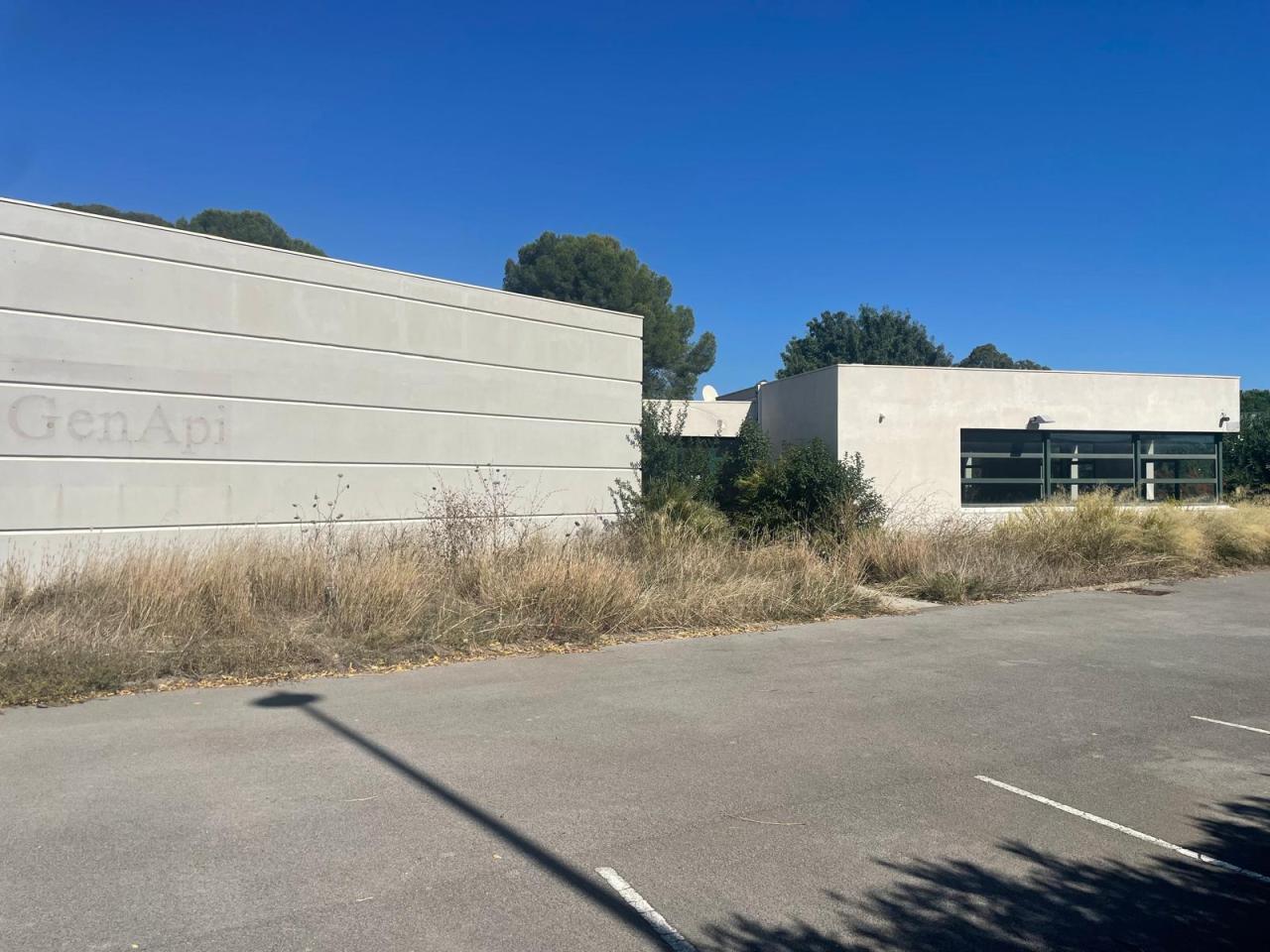 Location bureau Mauguio Hérault OLBUR2534903 3