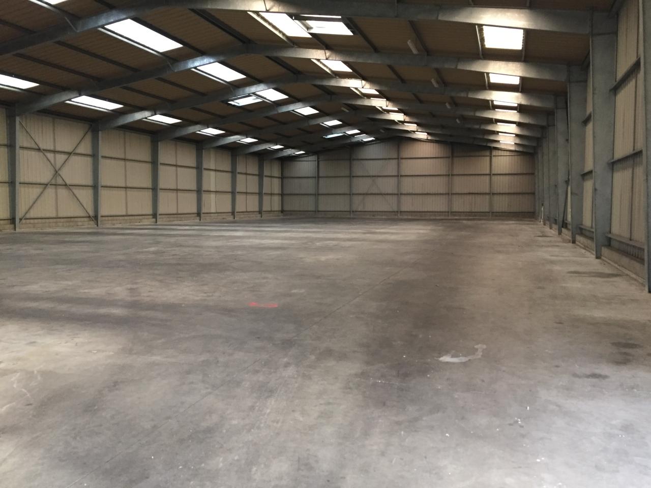 Location local d'activité Betton Ille-et-Vilaine OLACT2533327 4