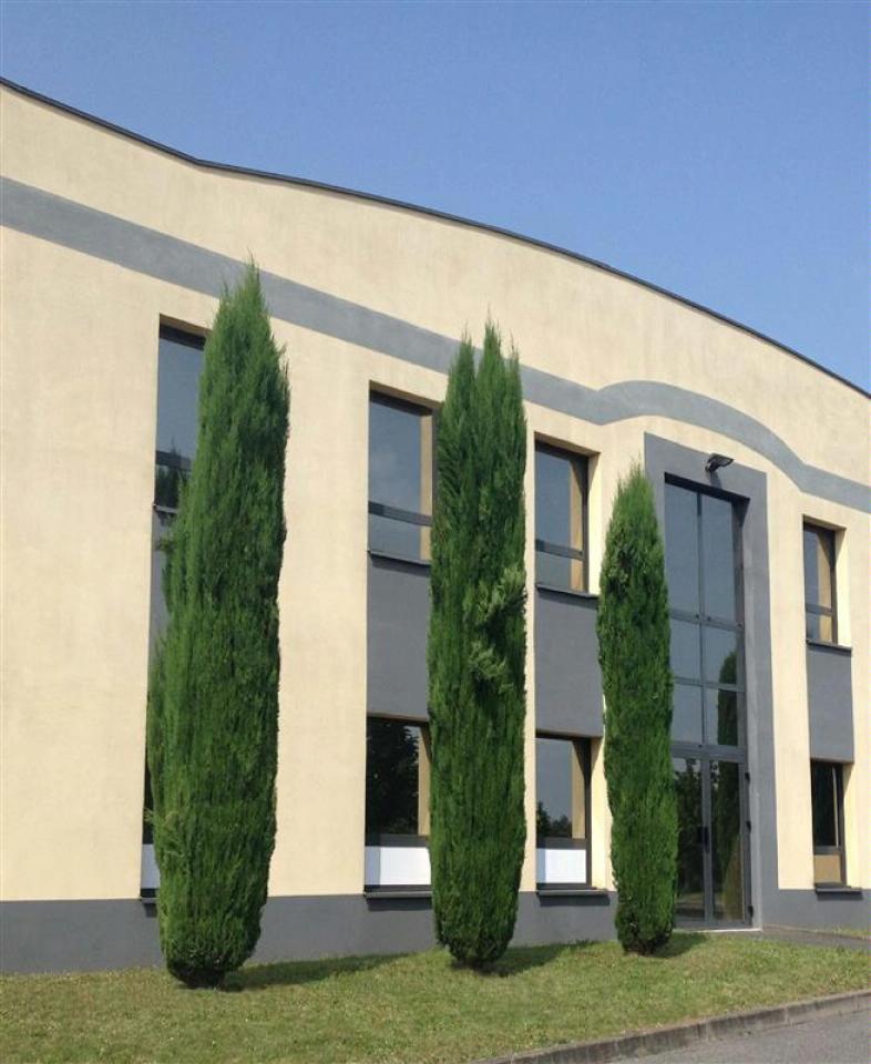 Location local d'activité Arnas Rhône OLACT2532053 1