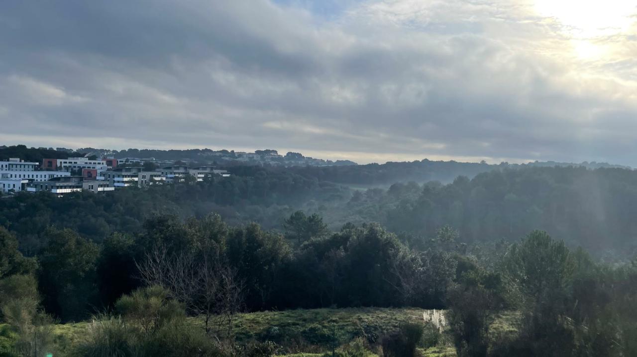 Location bureau Biot Alpes-Maritimes OLBUR2207722 1