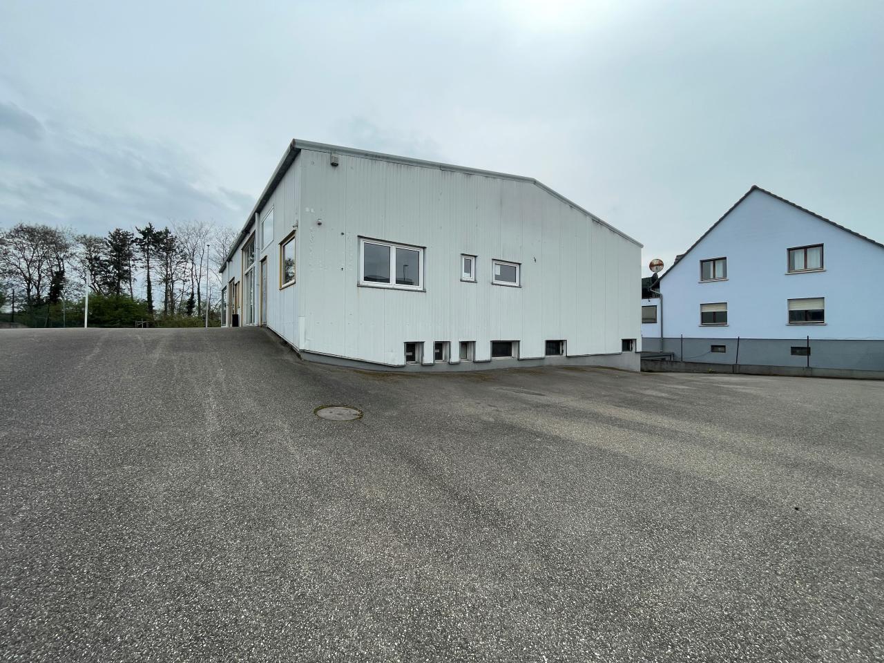Location local d'activité Illkirch-Graffenstaden Bas-Rhin OLACT2640829 3