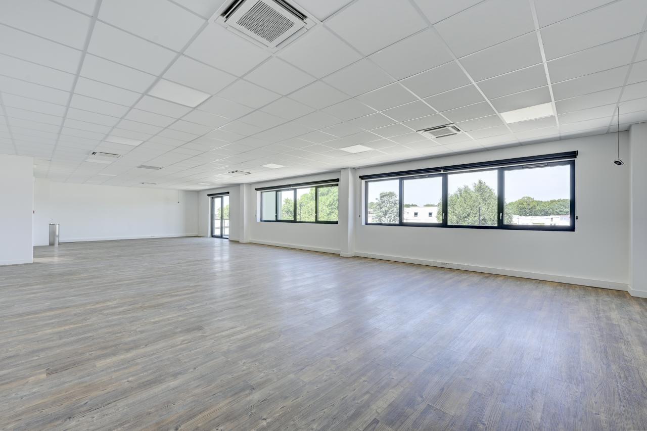 Location local d'activité Queue-en-Brie Val-de-Marne OLACT2317538 3