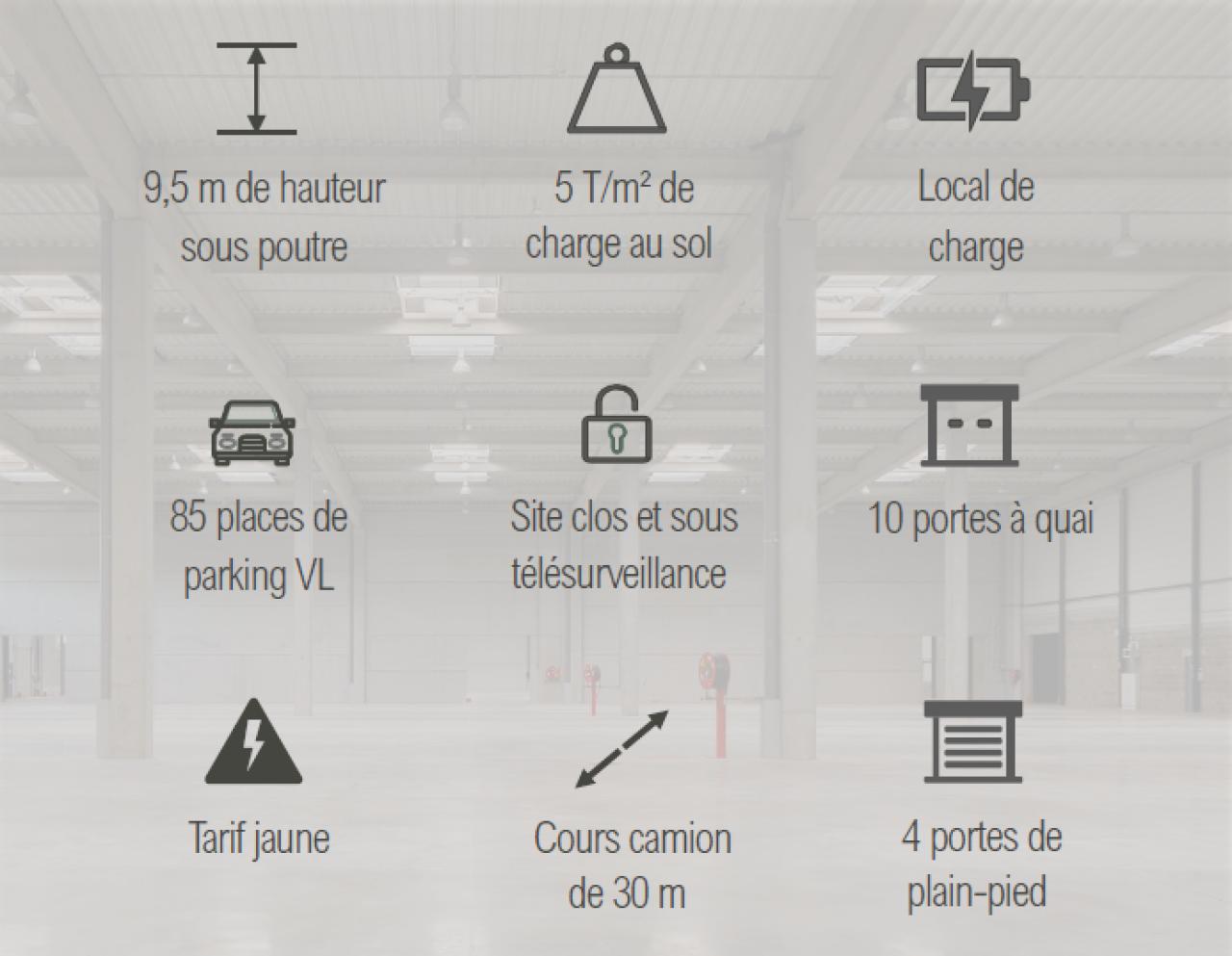 Location local d'activité Miribel Ain OLACT2425417 4