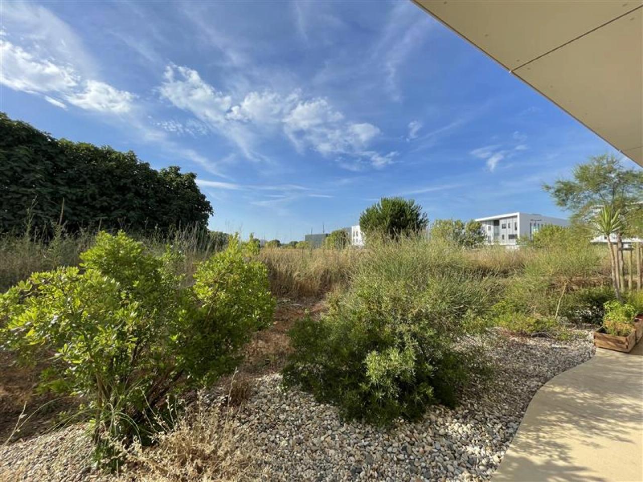 Location bureau Mauguio Hérault OLBUR2534113 2