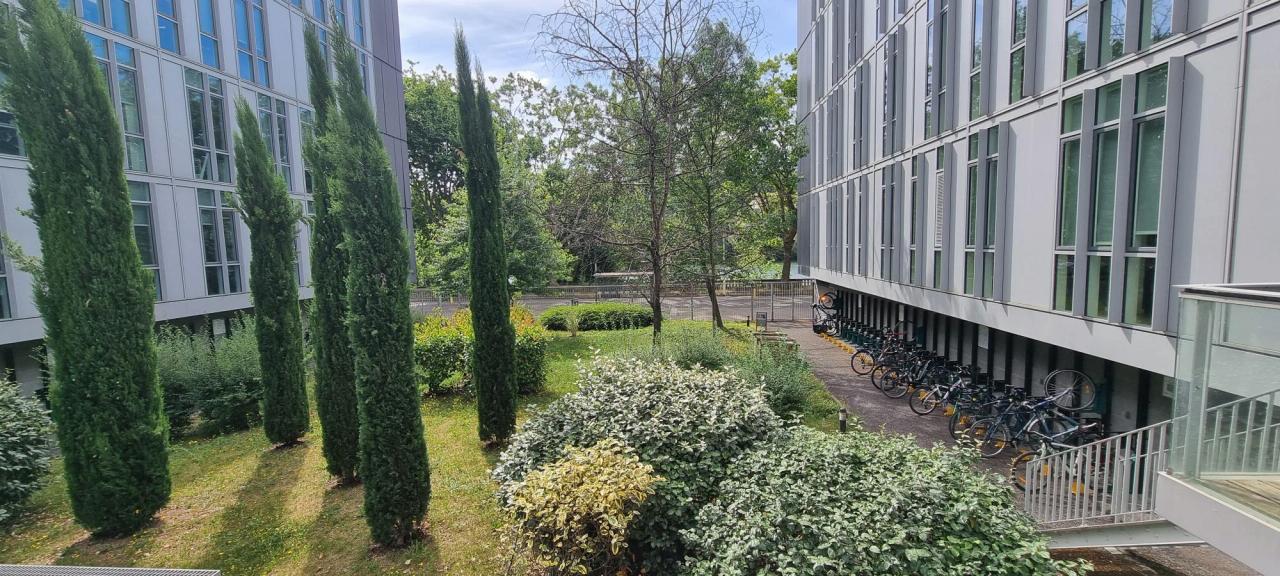 Location bureau Lyon Rhône OLBUR2203208 2