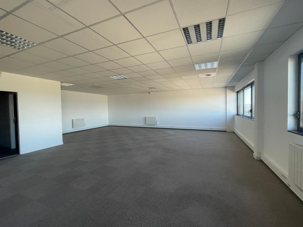 Location local d'activité Corbas Rhône OLACT2642974 3