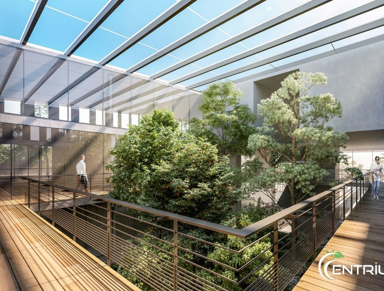 Location local d'activité Sophia Antipolis Alpes-Maritimes OLACT2309642 1