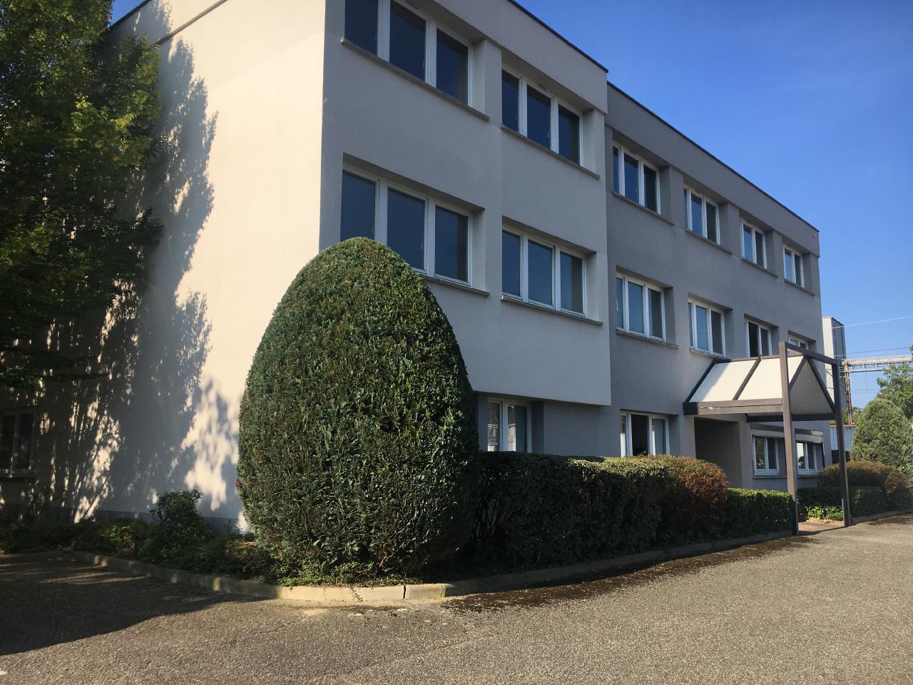Location bureau Erstein Bas-Rhin OLBUR2309720 3