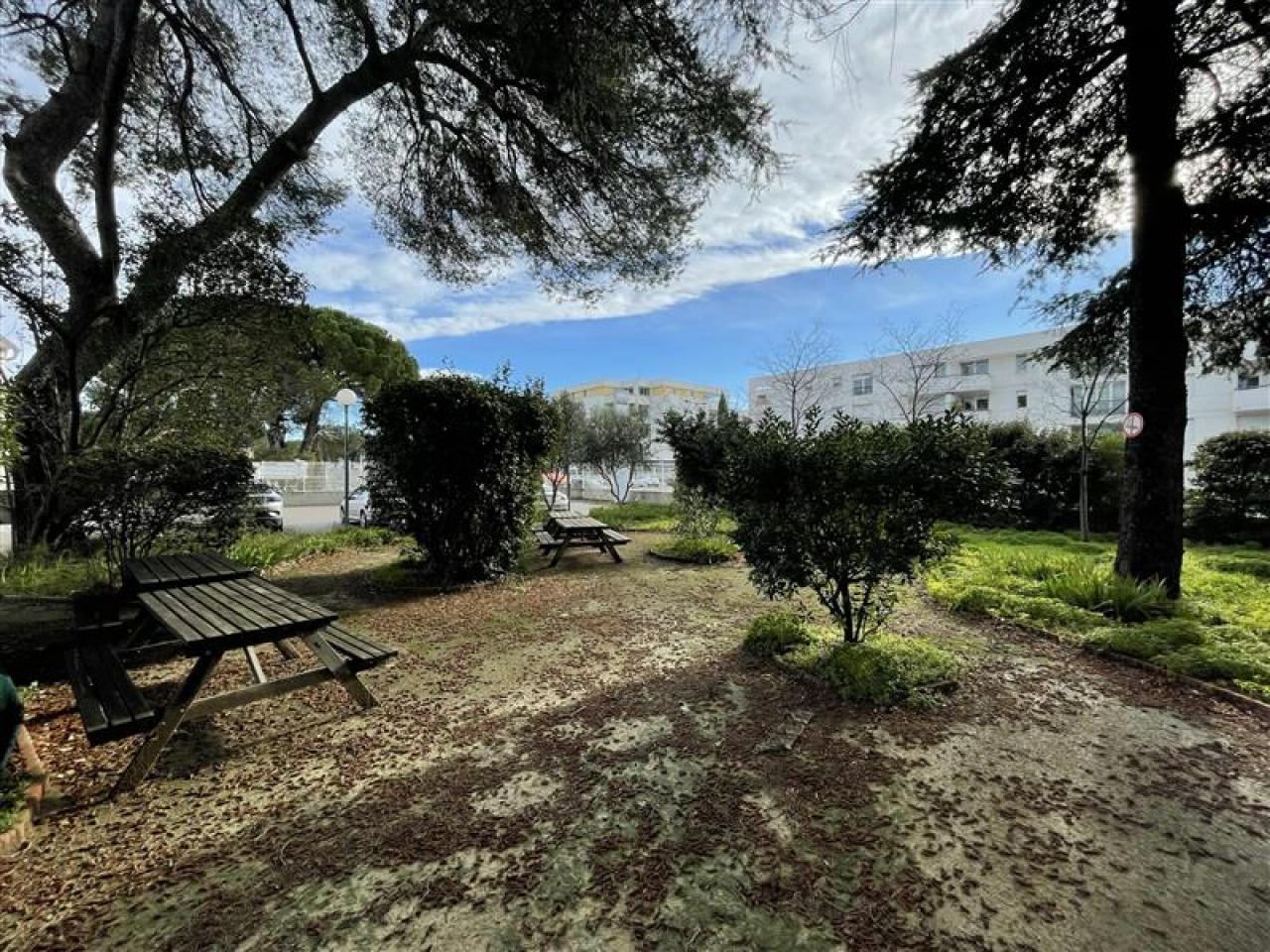 Location bureau Montpellier Hérault OLBUR2529583 2