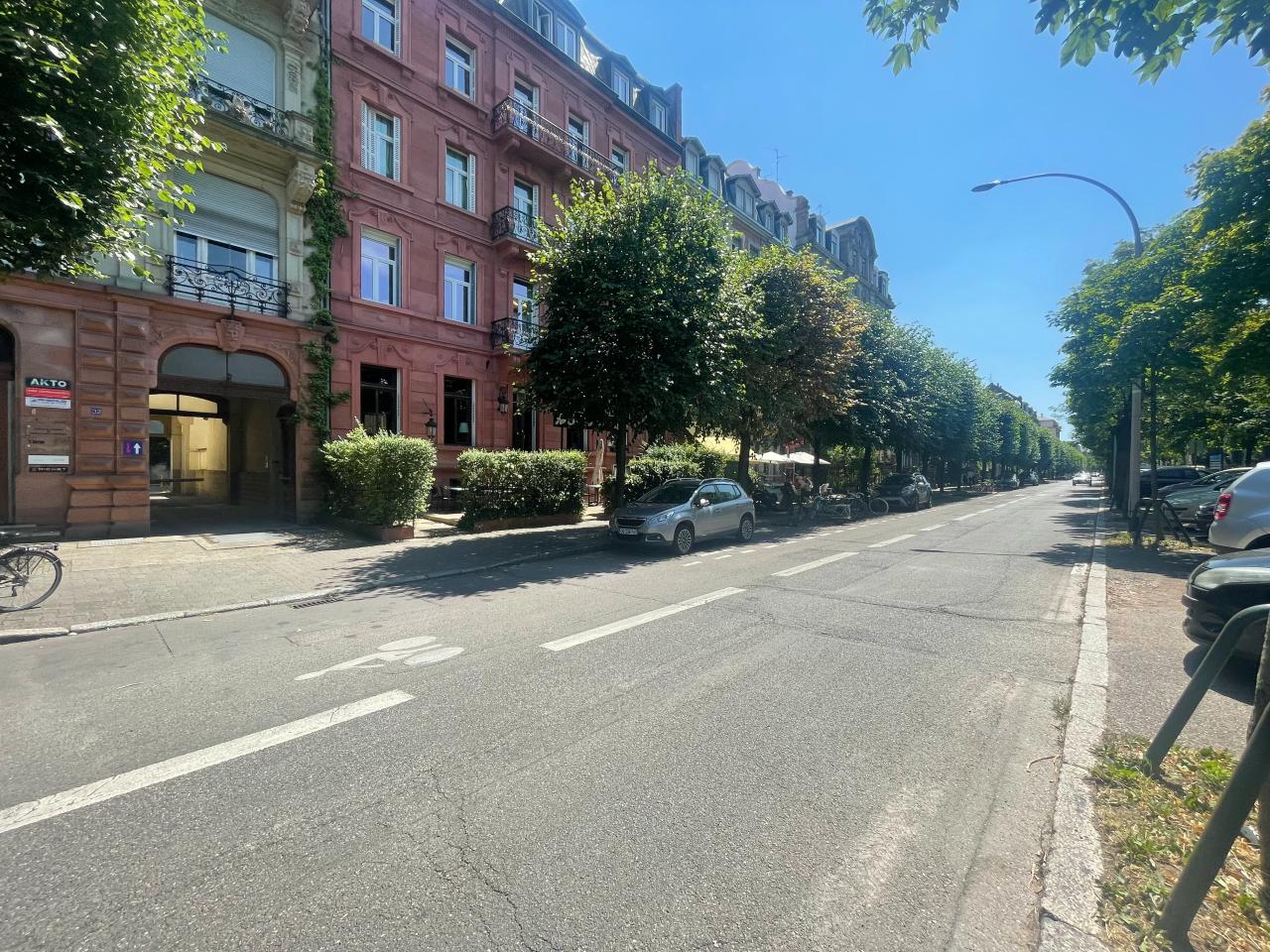 Location bureau Strasbourg Bas-Rhin OLBUR2533581 1