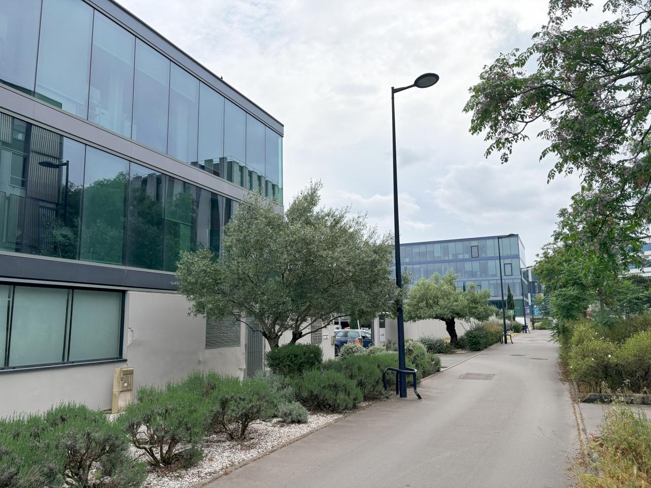 Location bureau Bordeaux Gironde OLBUR2643669 2