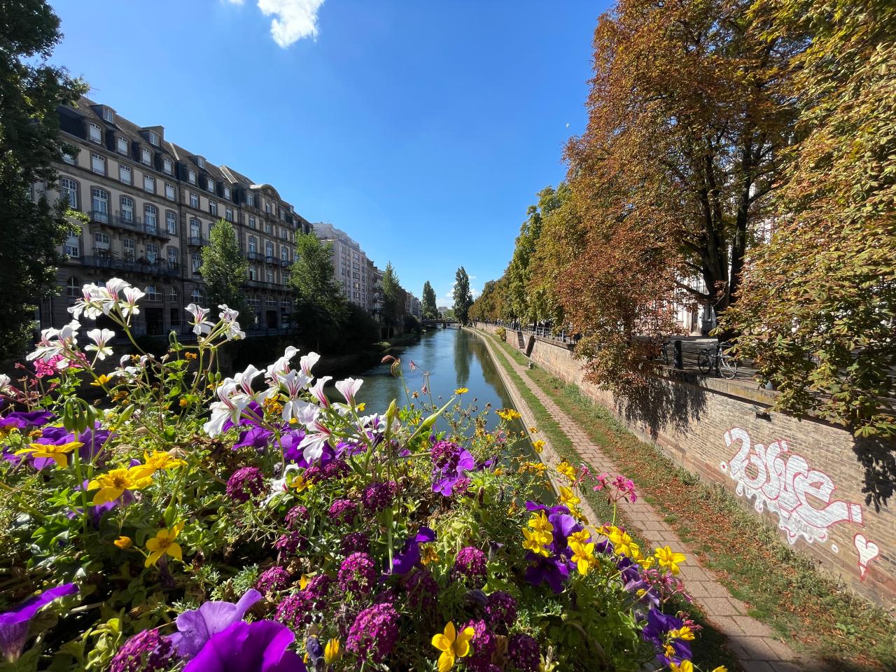 Location bureau Strasbourg Bas-Rhin OLBUR2644568