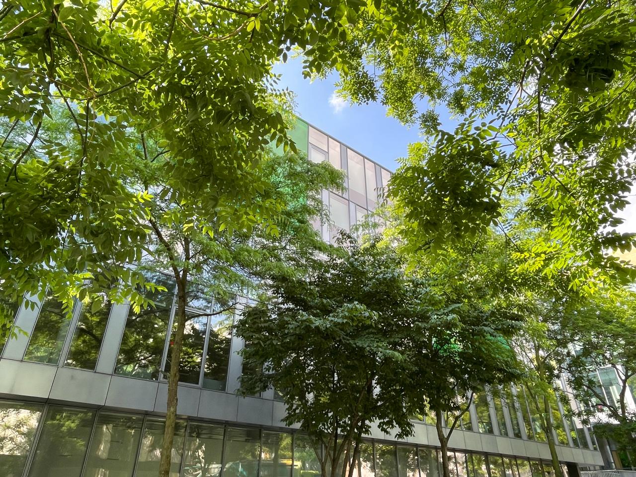 Vente bureau Lille Nord OVBUR2533706 2