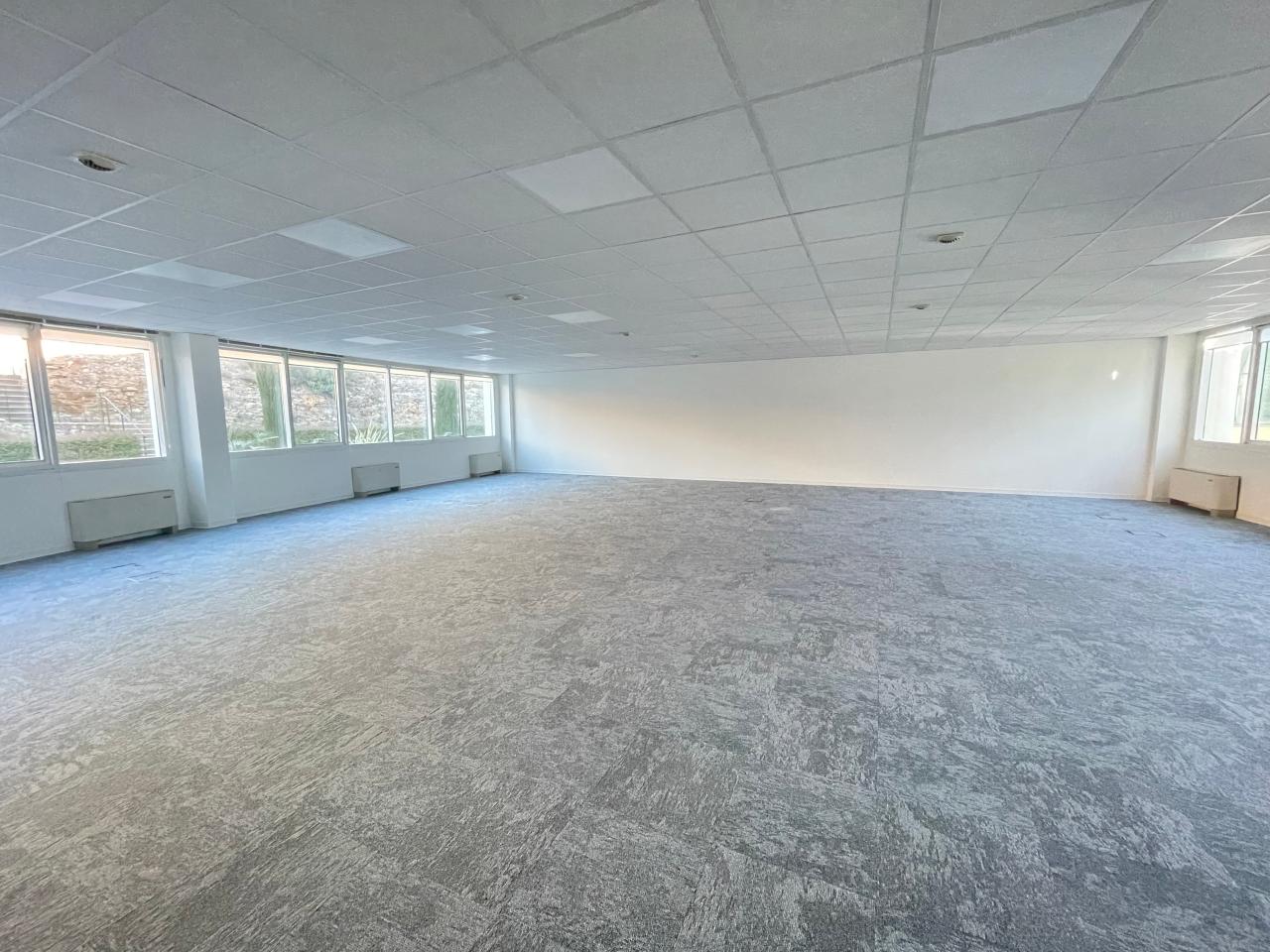 Location bureau Sophia Antipolis Alpes-Maritimes AOLBUR2119902_1 2