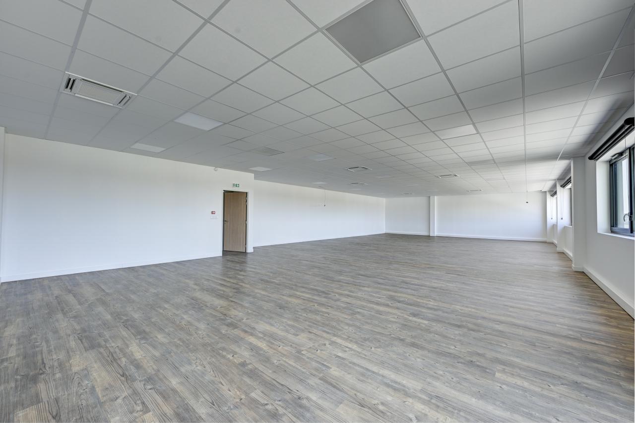 Location local d'activité Queue-en-Brie Val-de-Marne OLACT2317538 2
