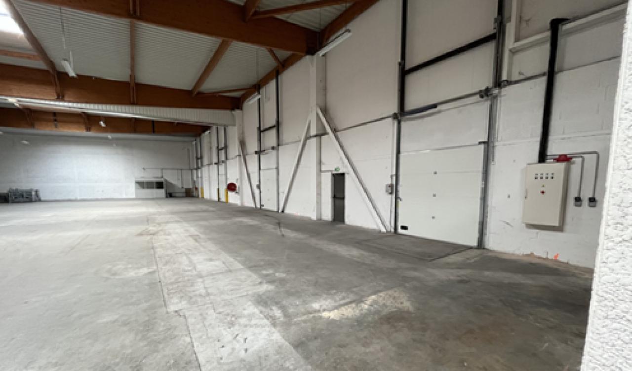 Vente local d'activité Saint-Quentin-Fallavier Isère OVACT2644339 4