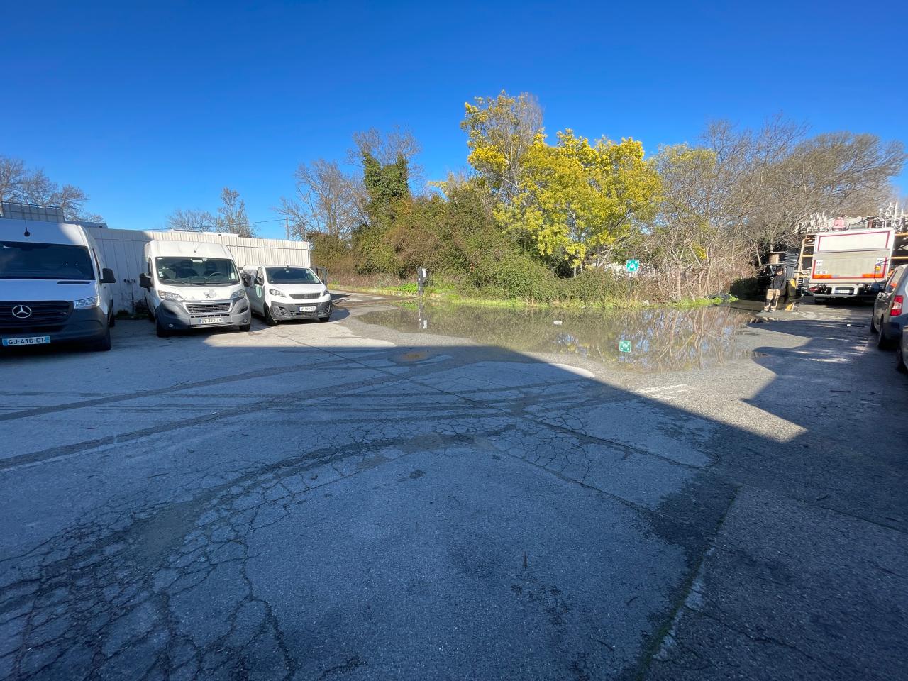 Location local d'activité Mandelieu-la-Napoule Alpes-Maritimes OLACT2639245 4