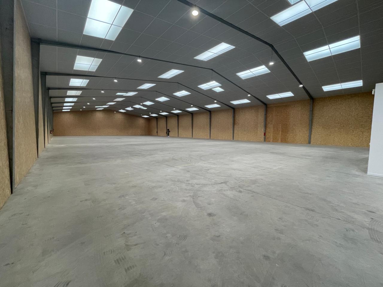 Location local d'activité Betton Ille-et-Vilaine OLACT2533327 4