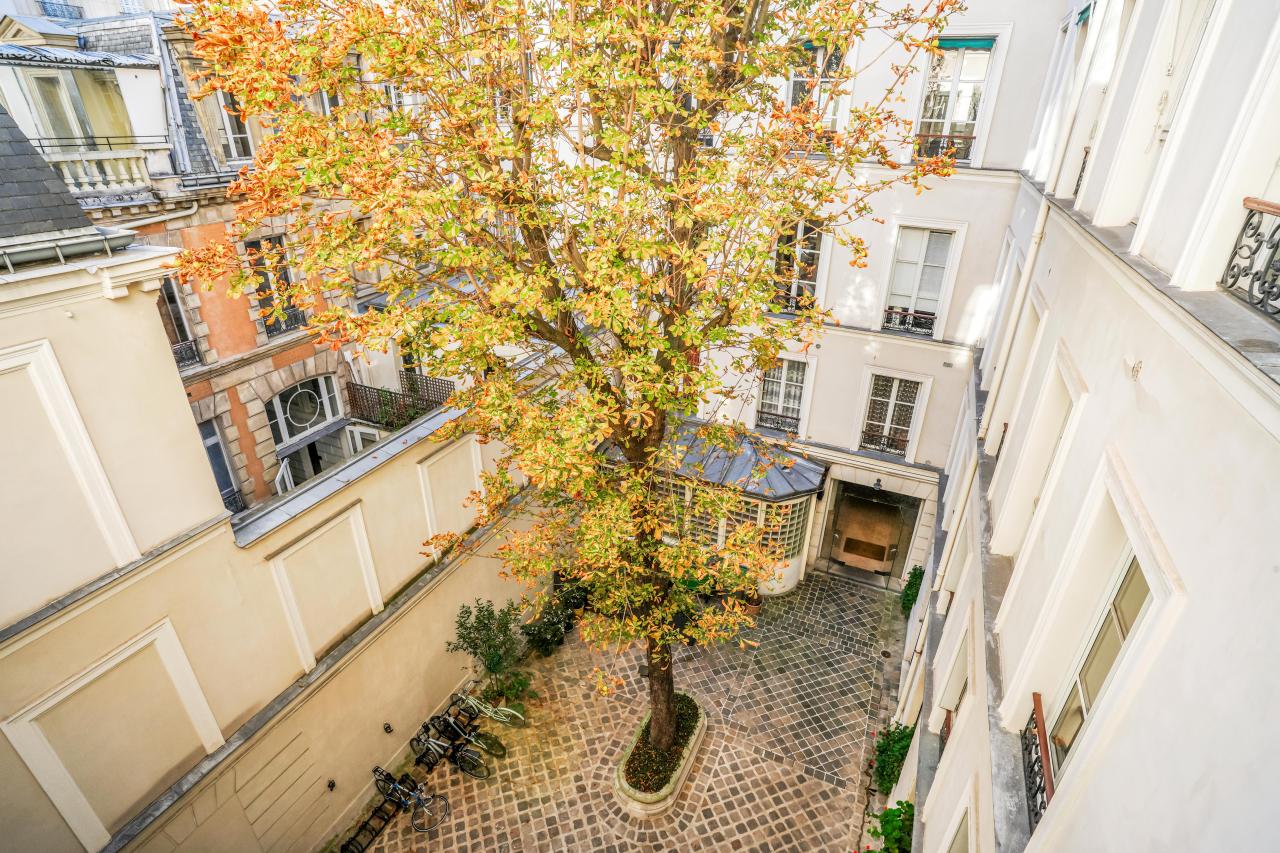 Location bureau Paris OLBUR2531388 3