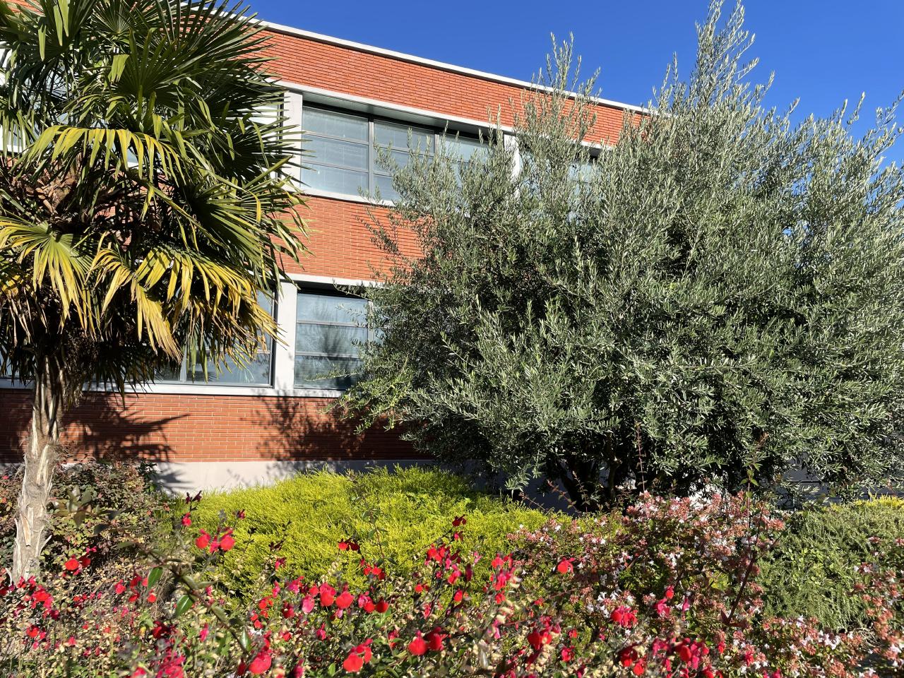 Location local d'activité Bezons Val-d'Oise OLACT2202164 1