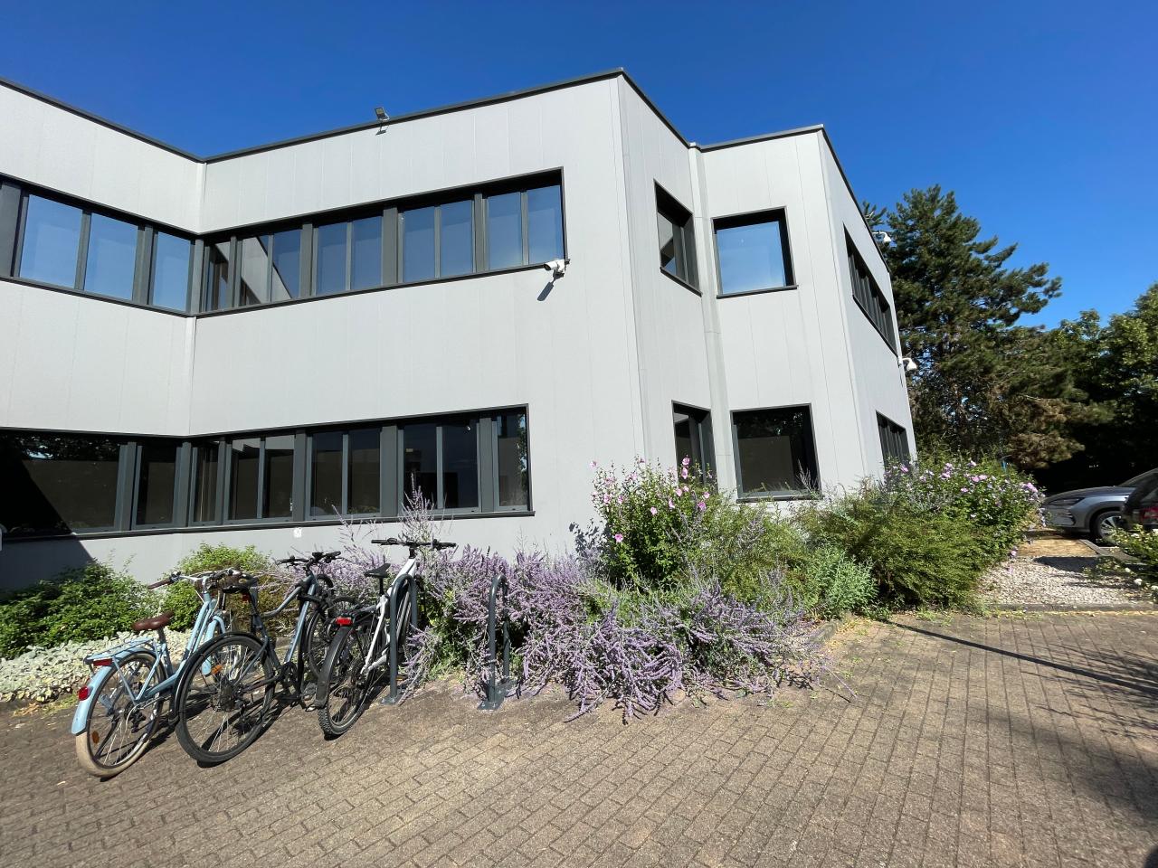 Location bureau Illkirch-Graffenstaden Bas-Rhin OLBUR2642847 1