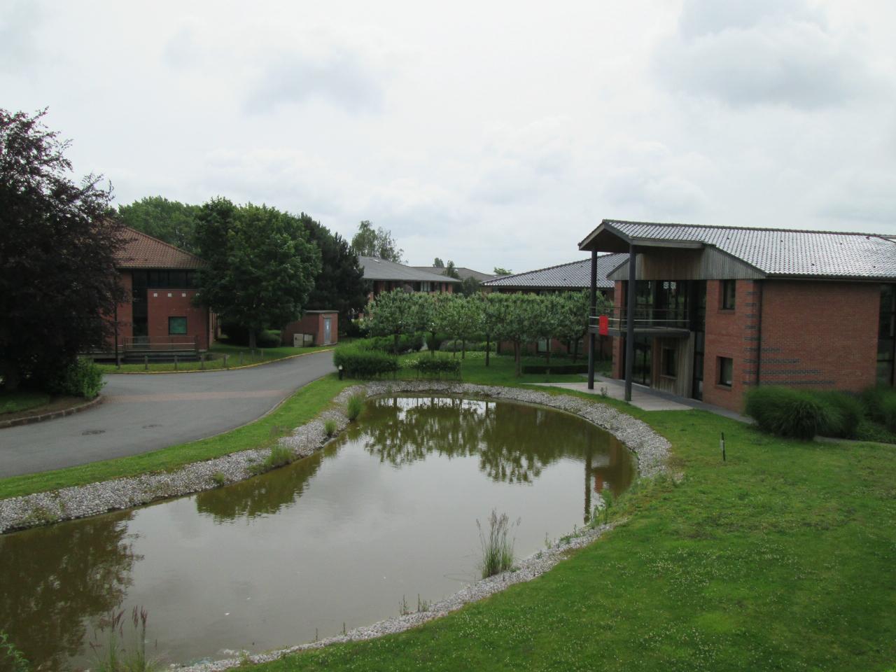 Location bureau Lezennes Nord OLBUR2422728 1