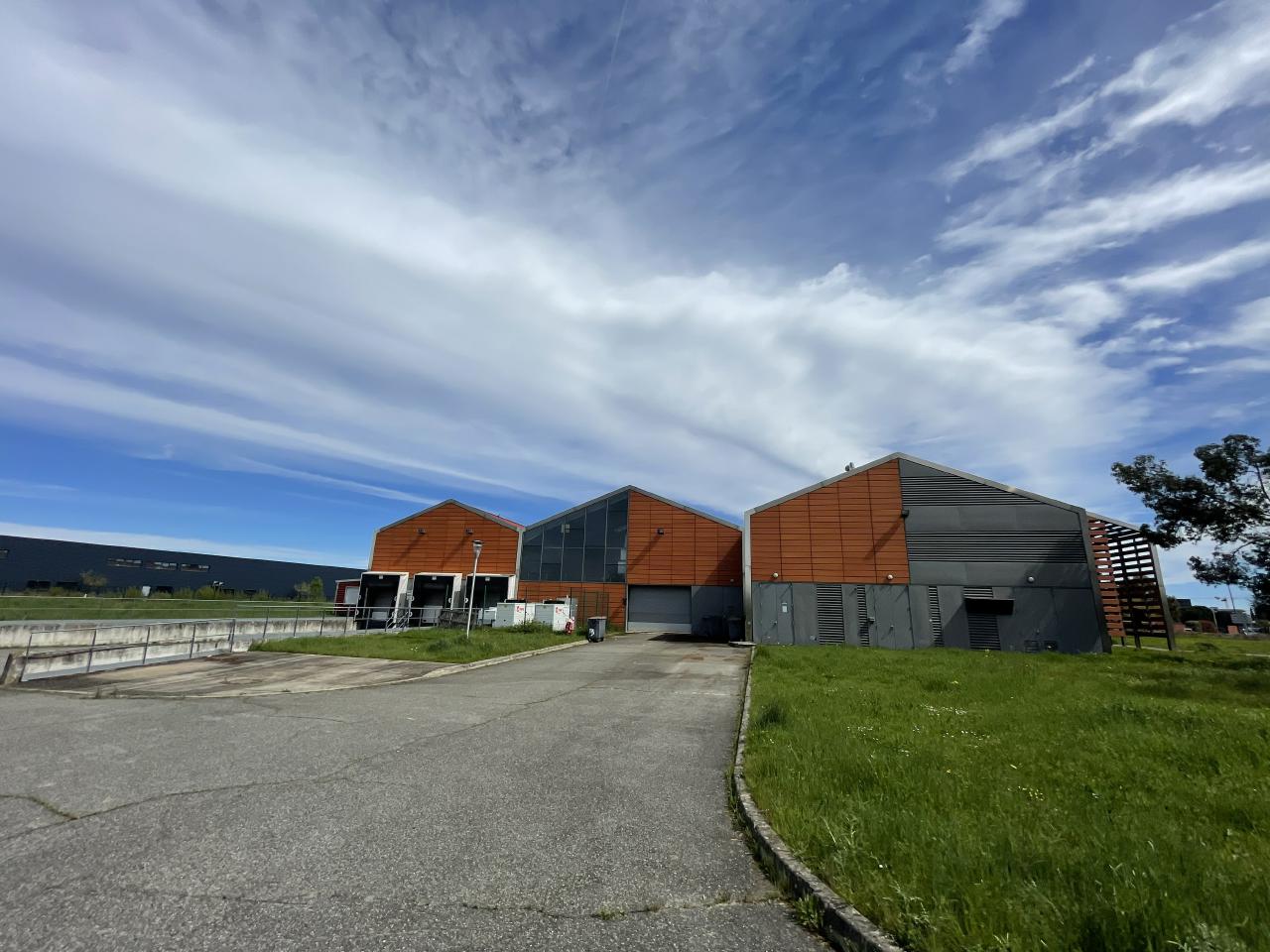 Location local d'activité Toulouse Haute-Garonne OLACT2421873 4