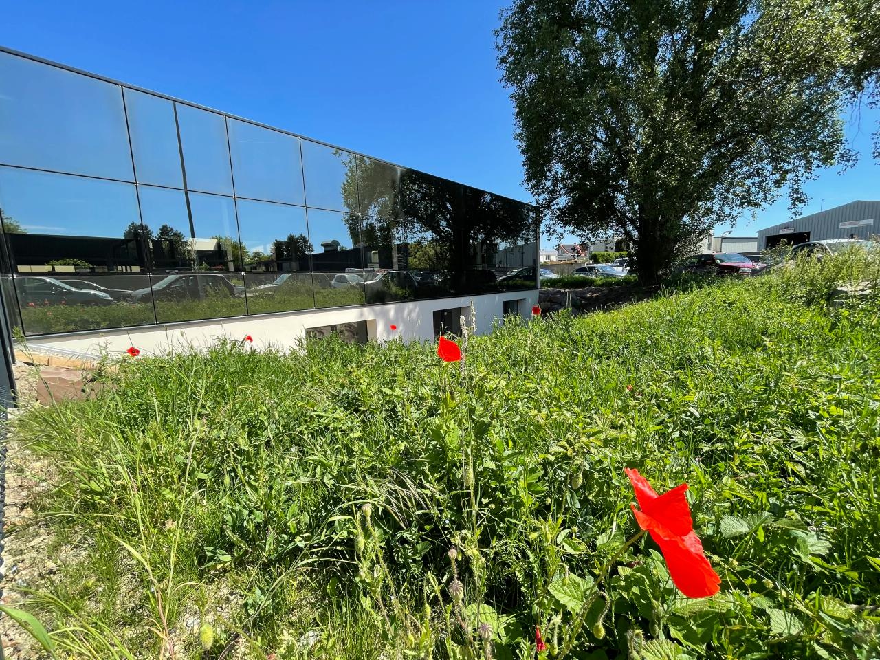 Location bureau Illkirch-Graffenstaden Bas-Rhin OLBUR2532163 1