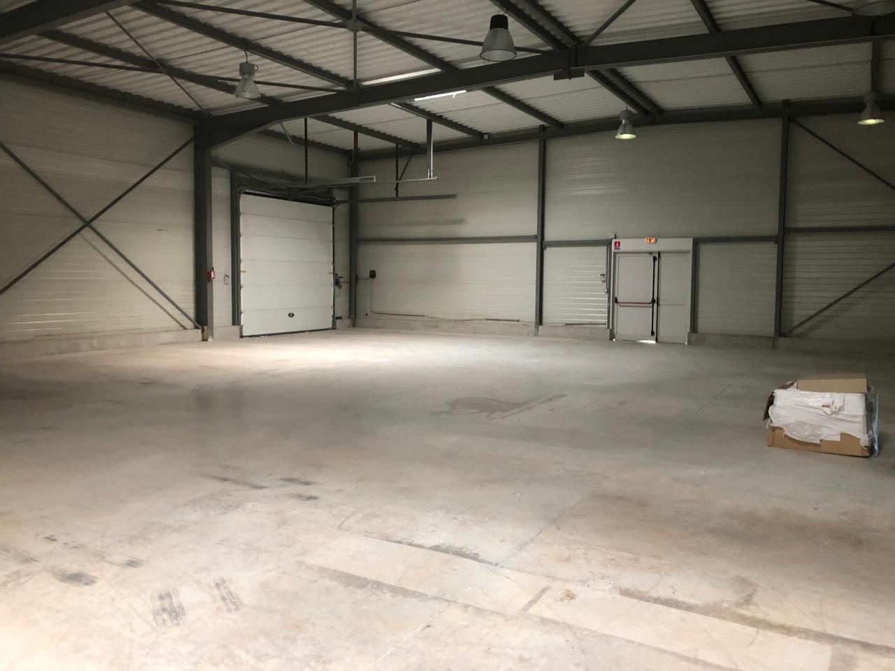 Location local d'activité Gallargues-le-Montueux Gard OLACT2428578 4