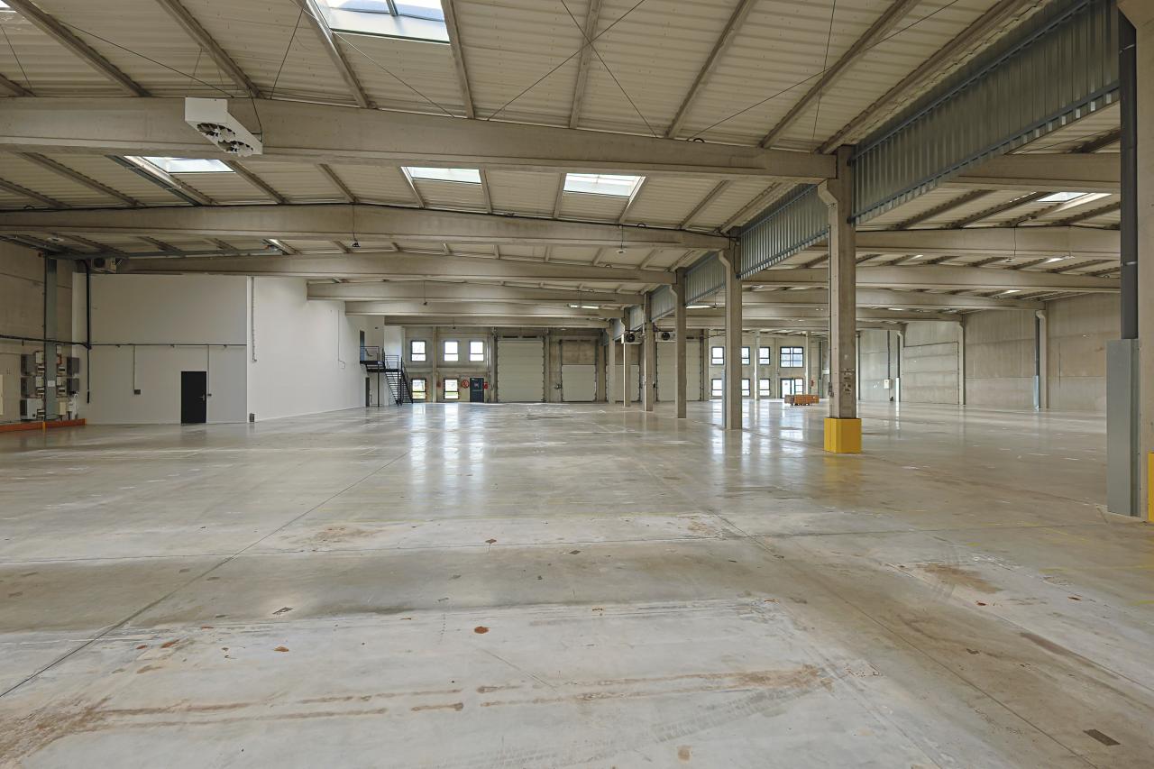 Location local d'activité Saint-André-lez-Lille Nord OLACT2206800 3