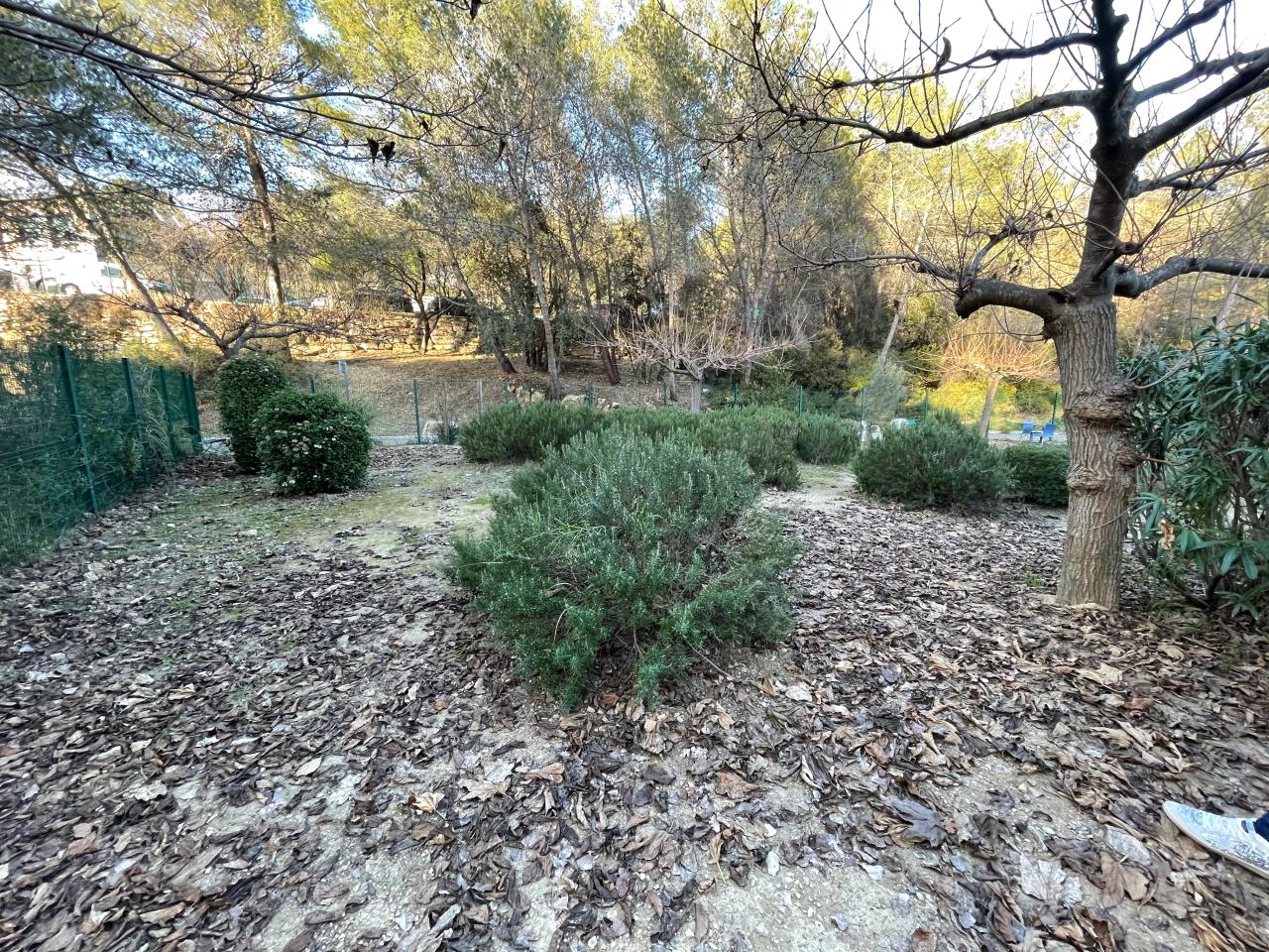 Vente bureau Sophia Antipolis Alpes-Maritimes OVBUR2535563 4