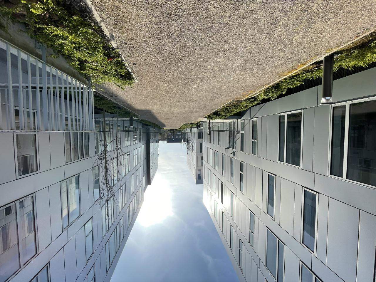 Location bureau Loos Nord OLBUR2311844 1