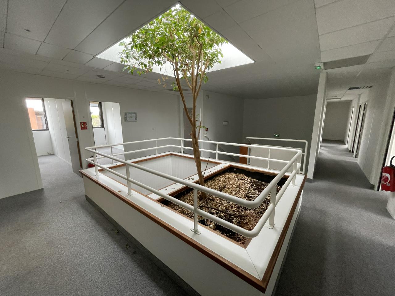 Location bureau Labège Haute-Garonne OLBUR2311258 2