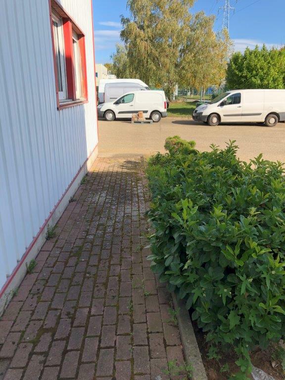 Location bureau Duttlenheim Bas-Rhin OLBUR2110864 1