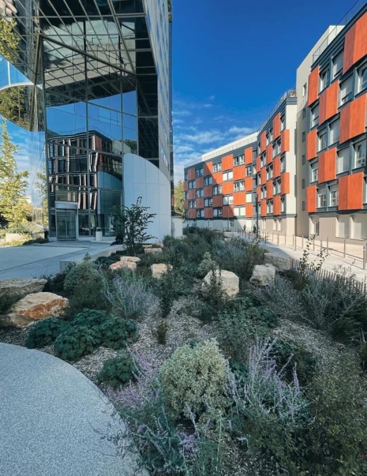 Location bureau Lyon Rhône OLBUR2109183 4