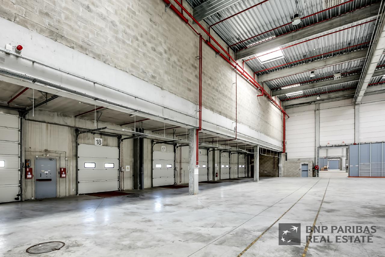 Location local d'activité Combs-la-Ville Seine-et-Marne OLACT2425674 3