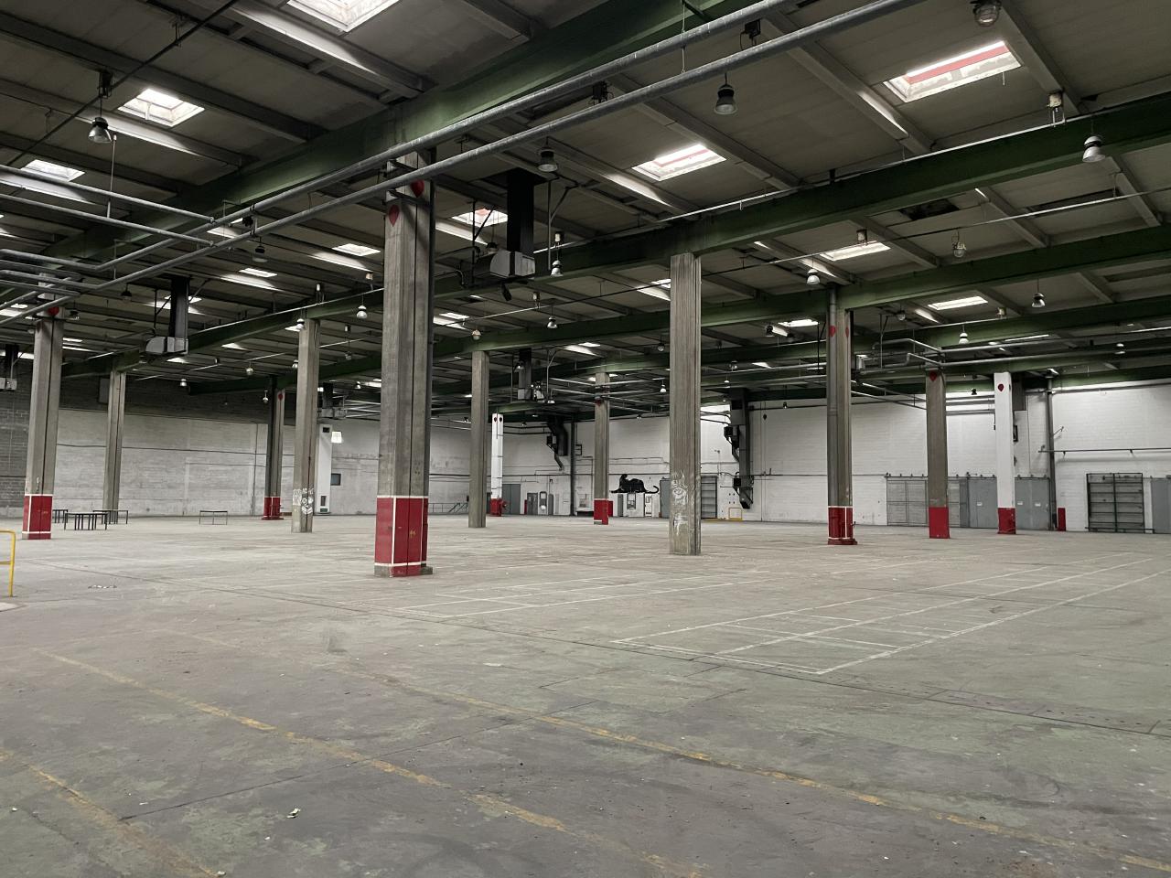 Location local d'activité Le Grand-quevilly Seine-Maritime OLACT2530196 3