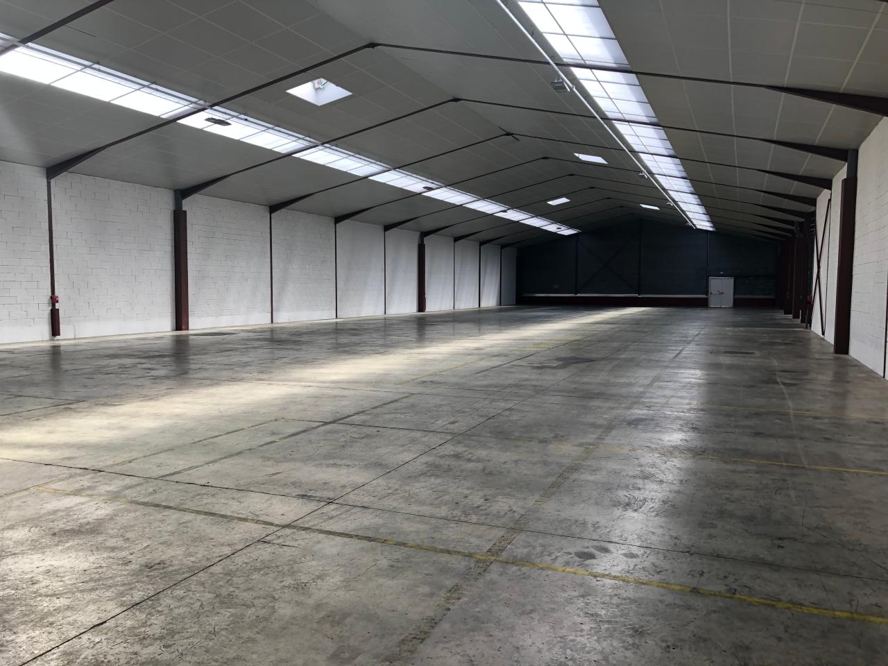 Location local d'activité Vern-sur-Seiche Ille-et-Vilaine OLACT2638453 2