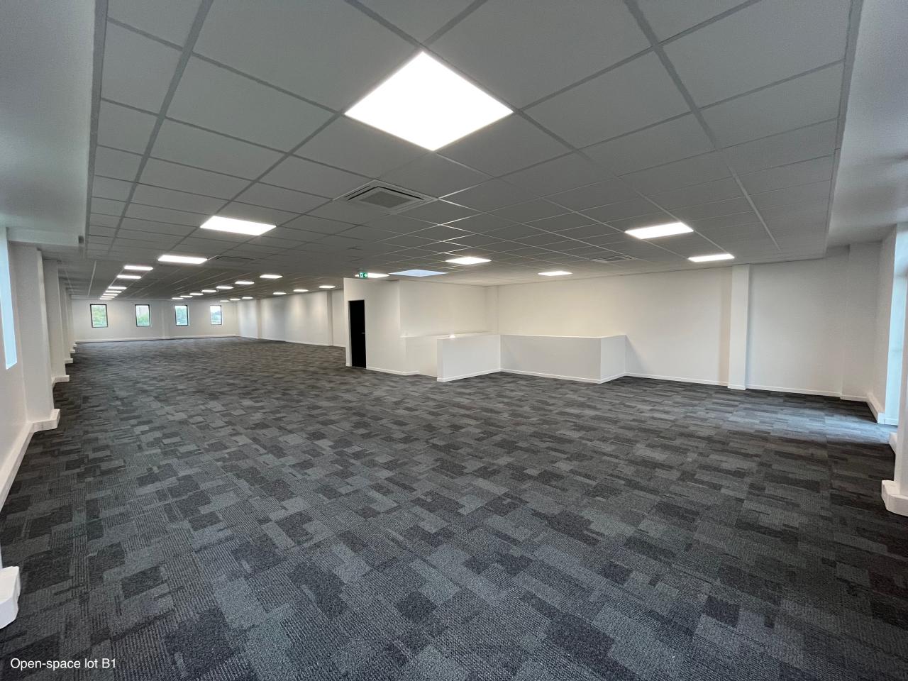 Location local d'activité Gennevilliers Hauts-de-Seine OLACT2106117 3