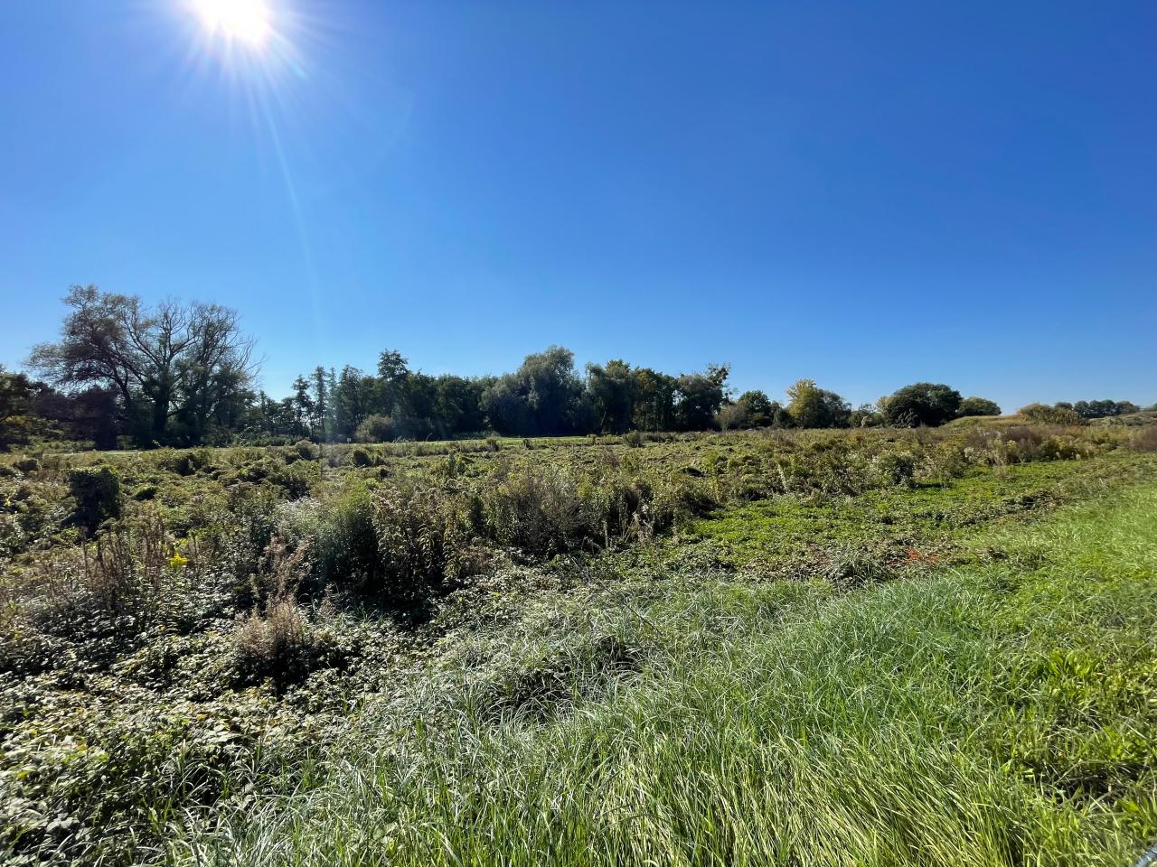 Location terrain Hoerdt Bas-Rhin OLACT2537267 2