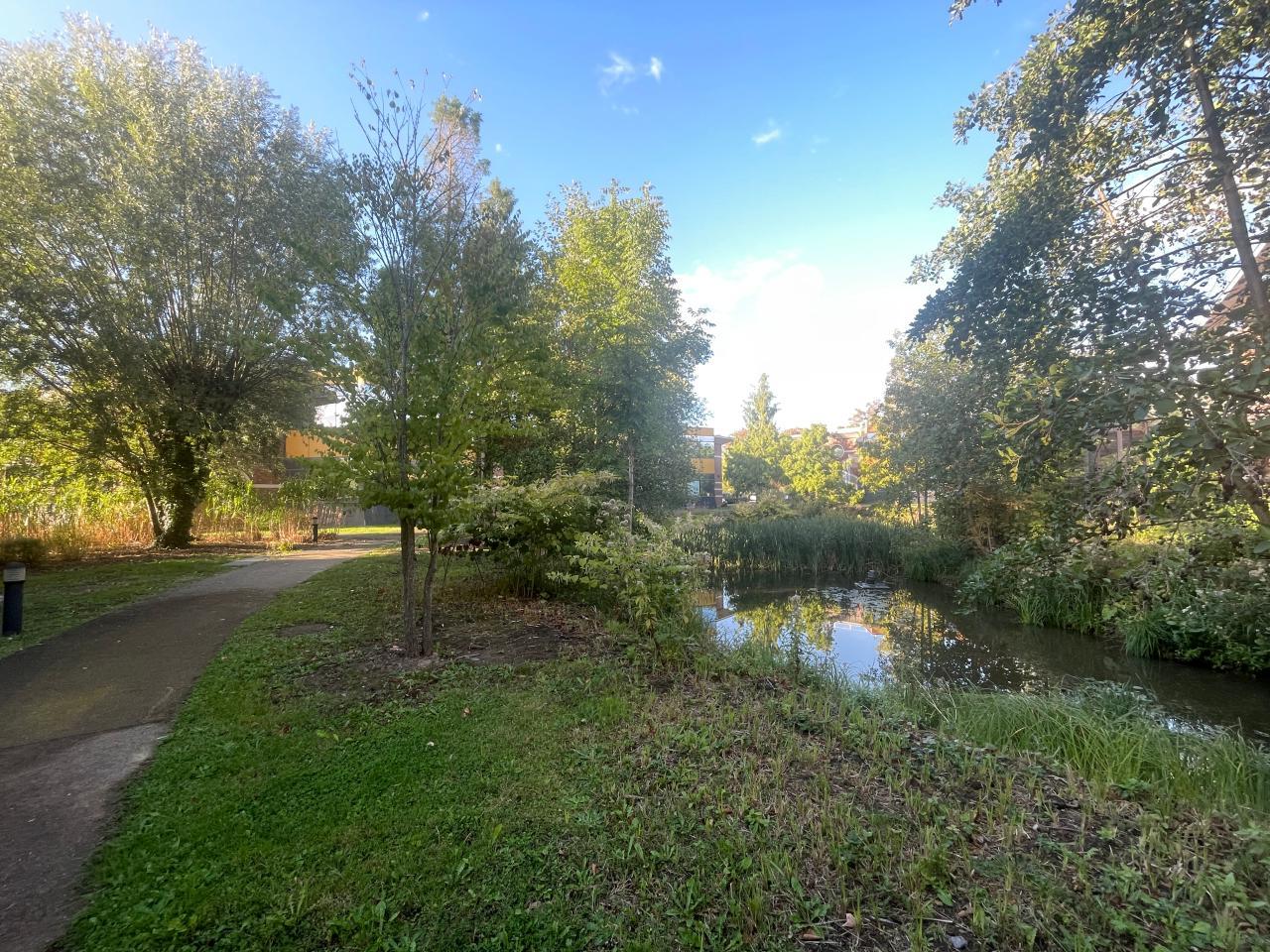 Vente bureau Wasquehal Nord OVBUR2535377 3