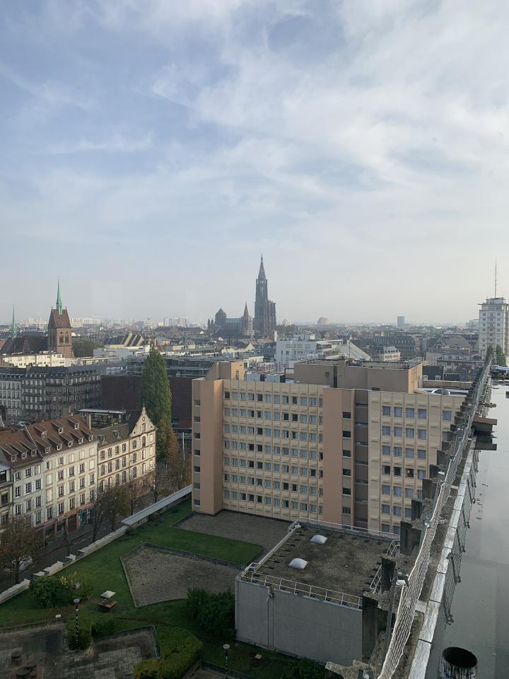 Location bureau Strasbourg Bas-Rhin OLBUR2530674 4