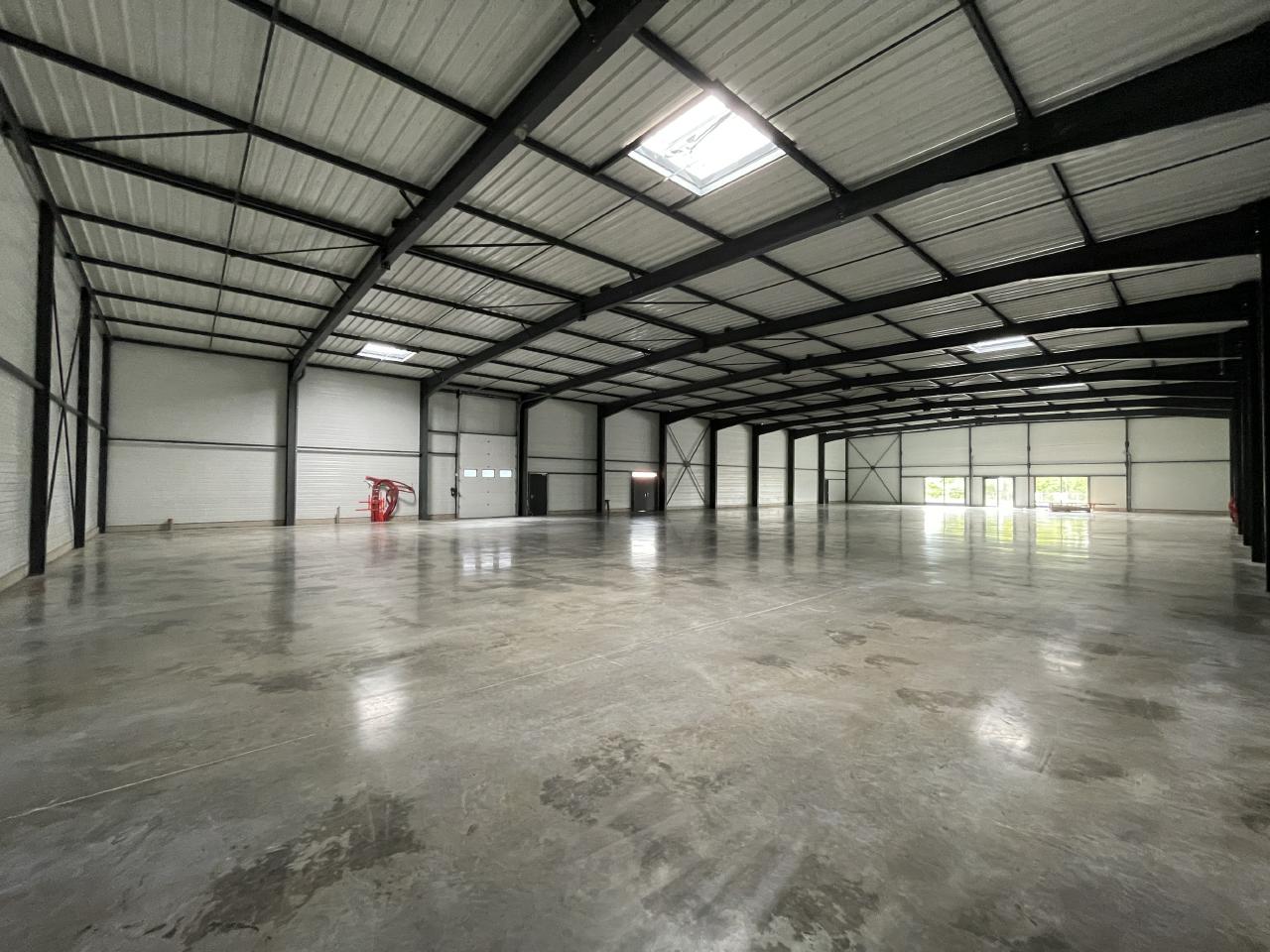 Location commerce Essey-lès-Nancy Meurthe-et-Moselle OLCOM2316569 2