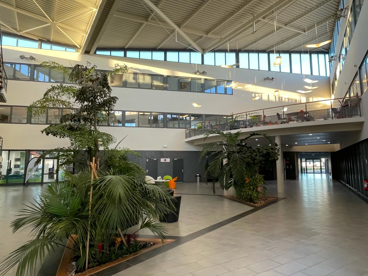 Location bureau Isneauville Seine-Maritime OLBUR2427817 2