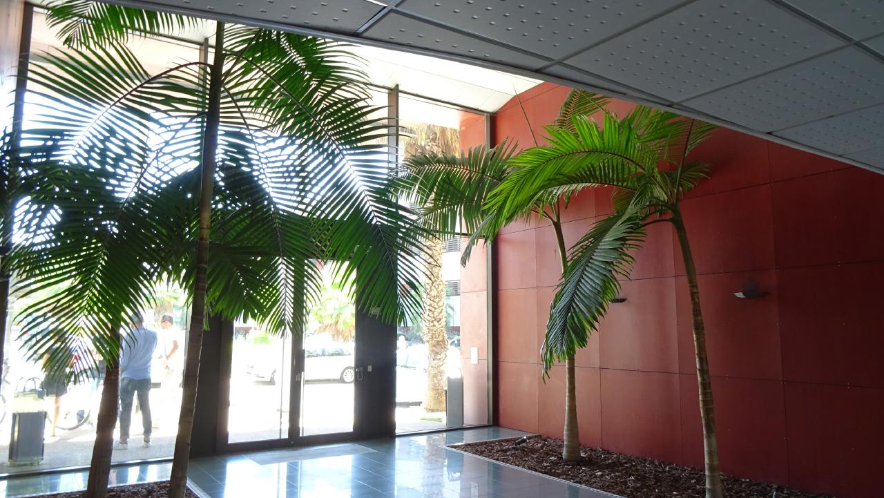 Location bureau Montpellier Hérault OLBUR2534405 1